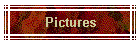 Pictures